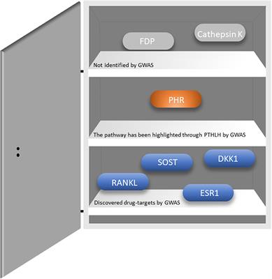 Genomic Medicine: Lessons Learned From Monogenic and Complex Bone Disorders